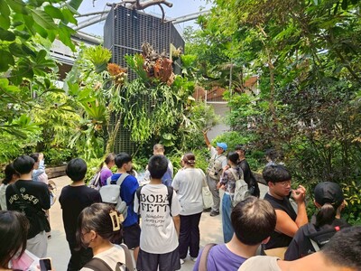 學生專注聆聽蕨類區導覽解說圖片